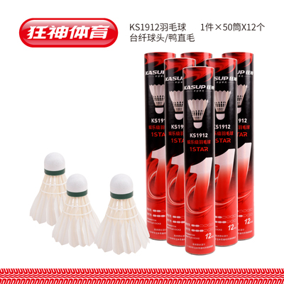 KSNL1912羽毛球