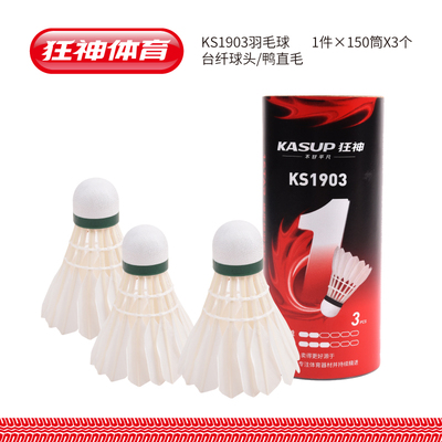 KSNL1903羽毛球