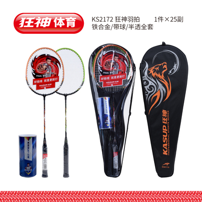 KS2172羽拍