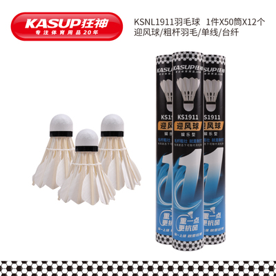 KSNL1911羽毛球