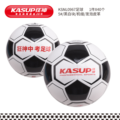 KSNL0967足球