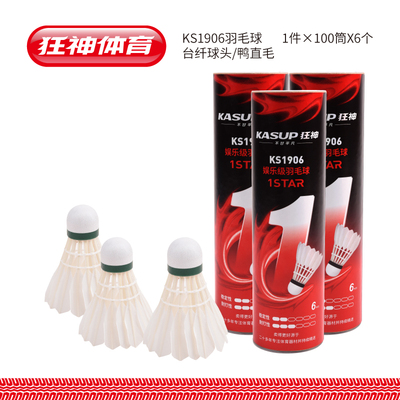 KSNL1906羽毛球